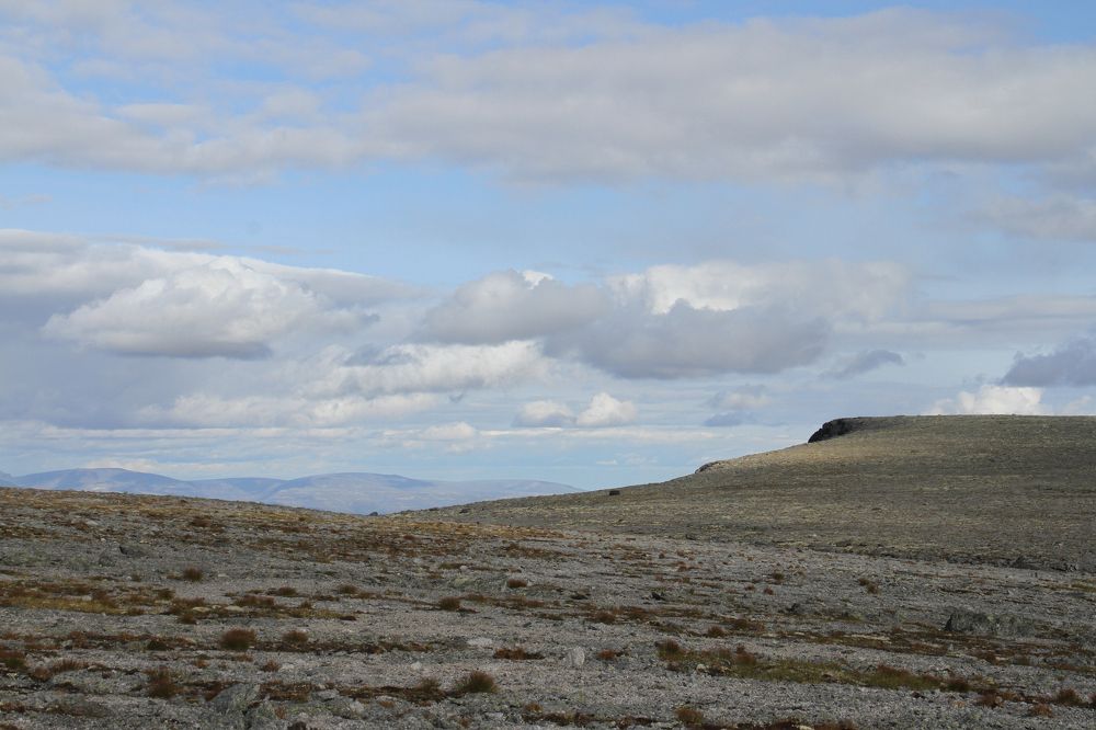 Photograph by Nadezhda Bakina