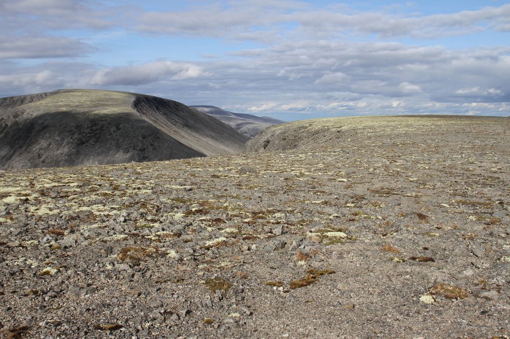 Photograph by Nadezhda Bakina