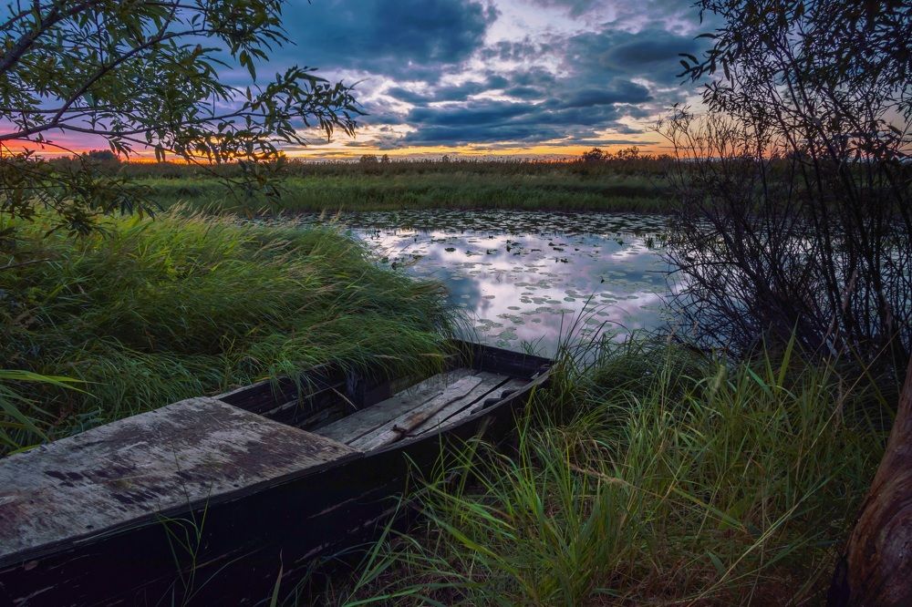 Photograph by Александр Титов