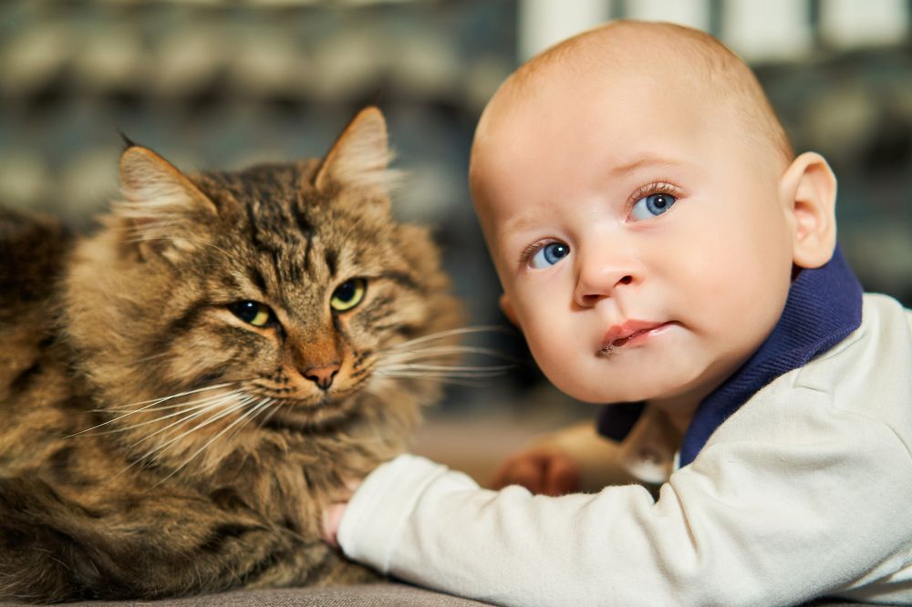 Photograph by Ростислав Непомнящий