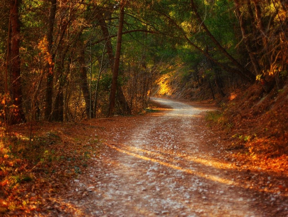 Photograph by Михаил Саидов