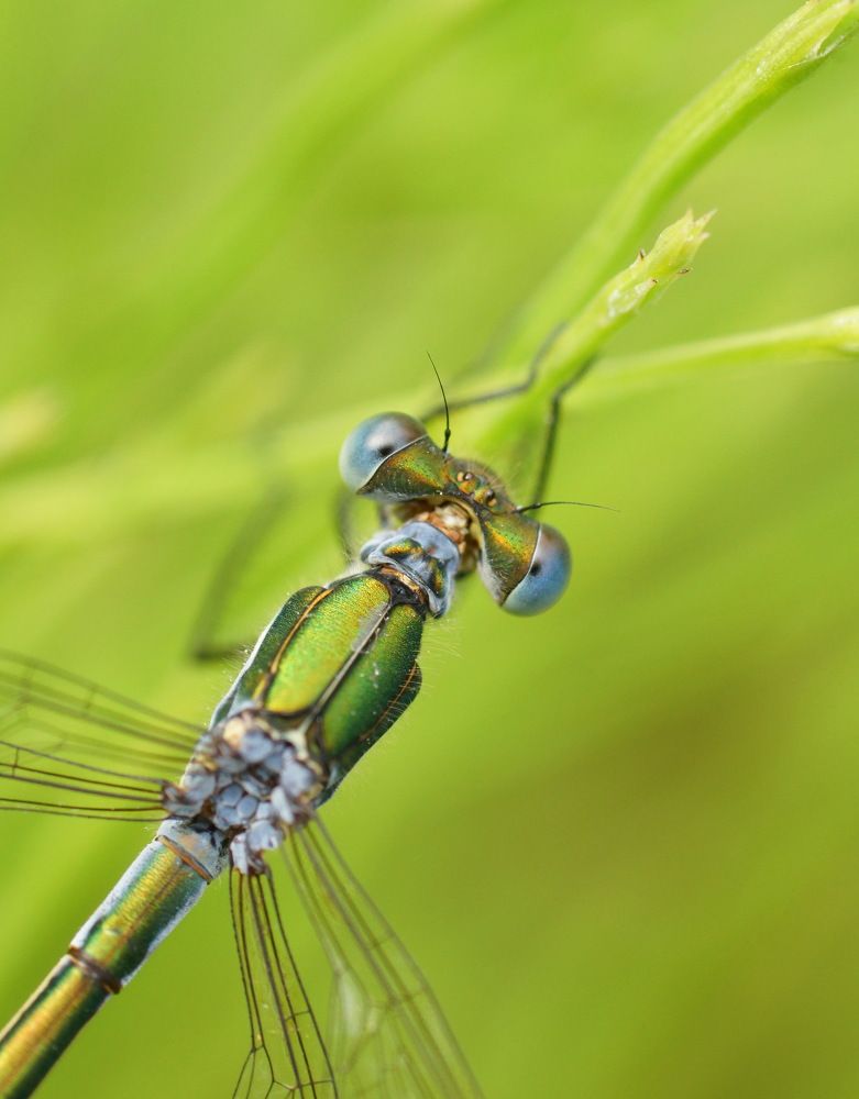 Photograph by Алексей Андреев