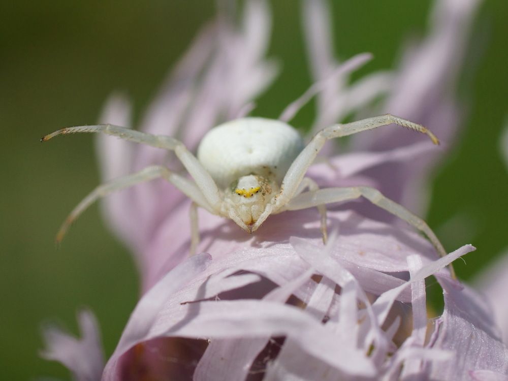 Photograph by Алексей Андреев