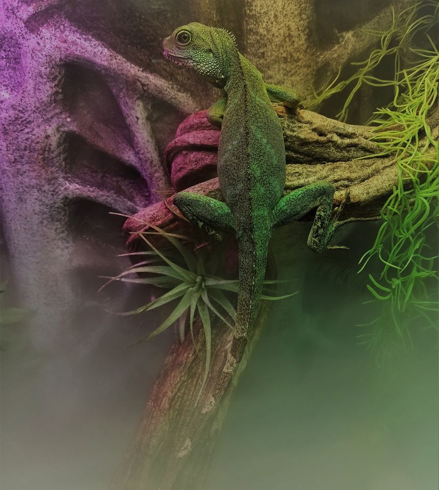 Photograph by Сергей Лобозов