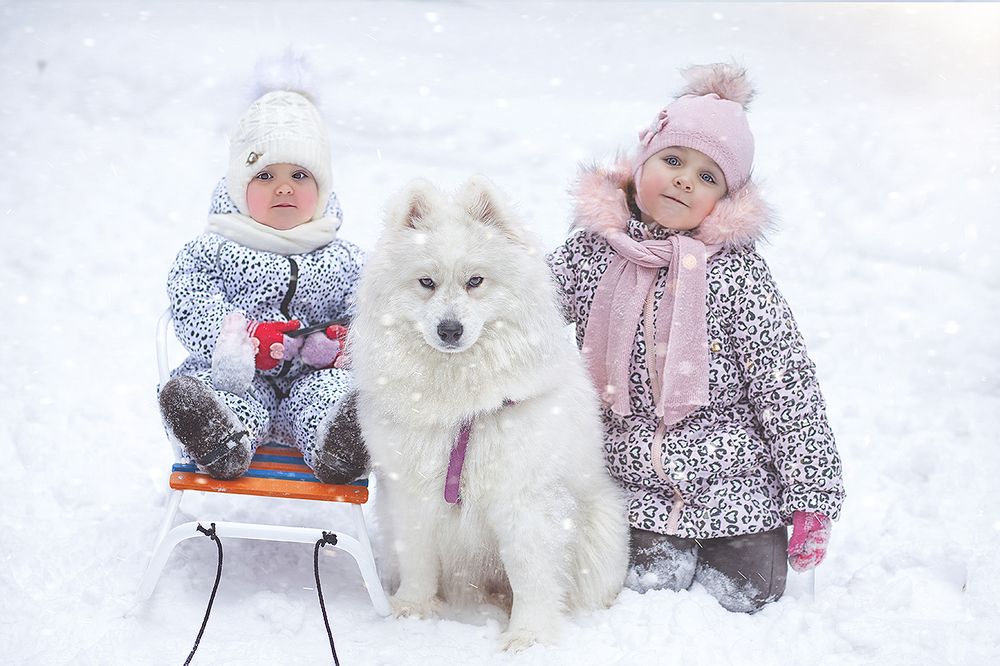 Зима 2021 год