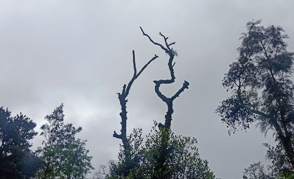 Photograph by vishwa kumboor