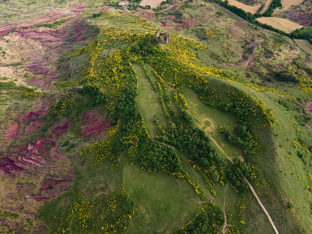 Photograph by stefanini alexis