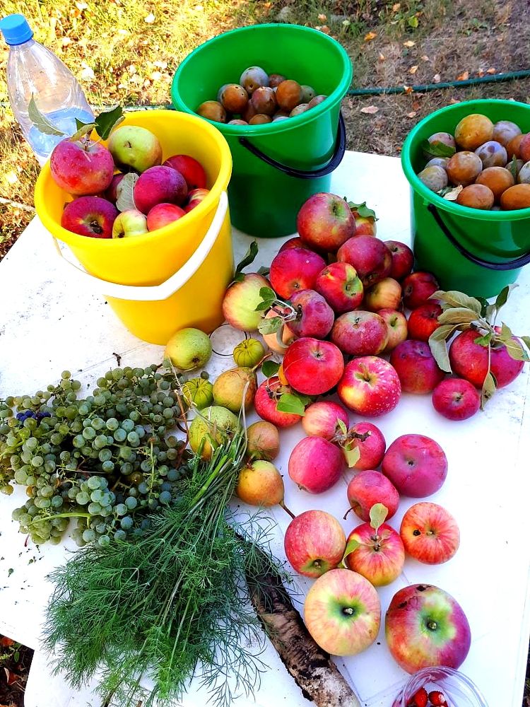 Photograph by Юрий Варюхин