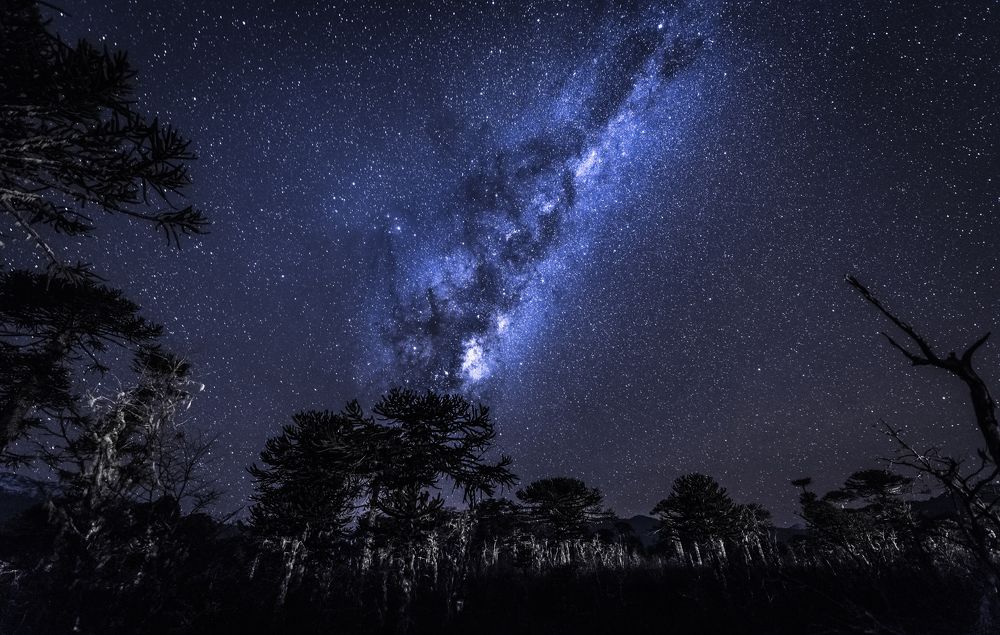 Фотография автора Cristian Dunivicher