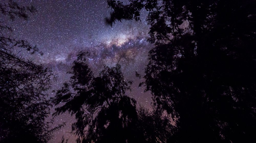 Фотография автора Cristian Dunivicher