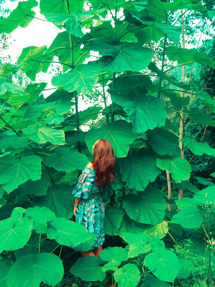 Photograph by Татьяна Осипова