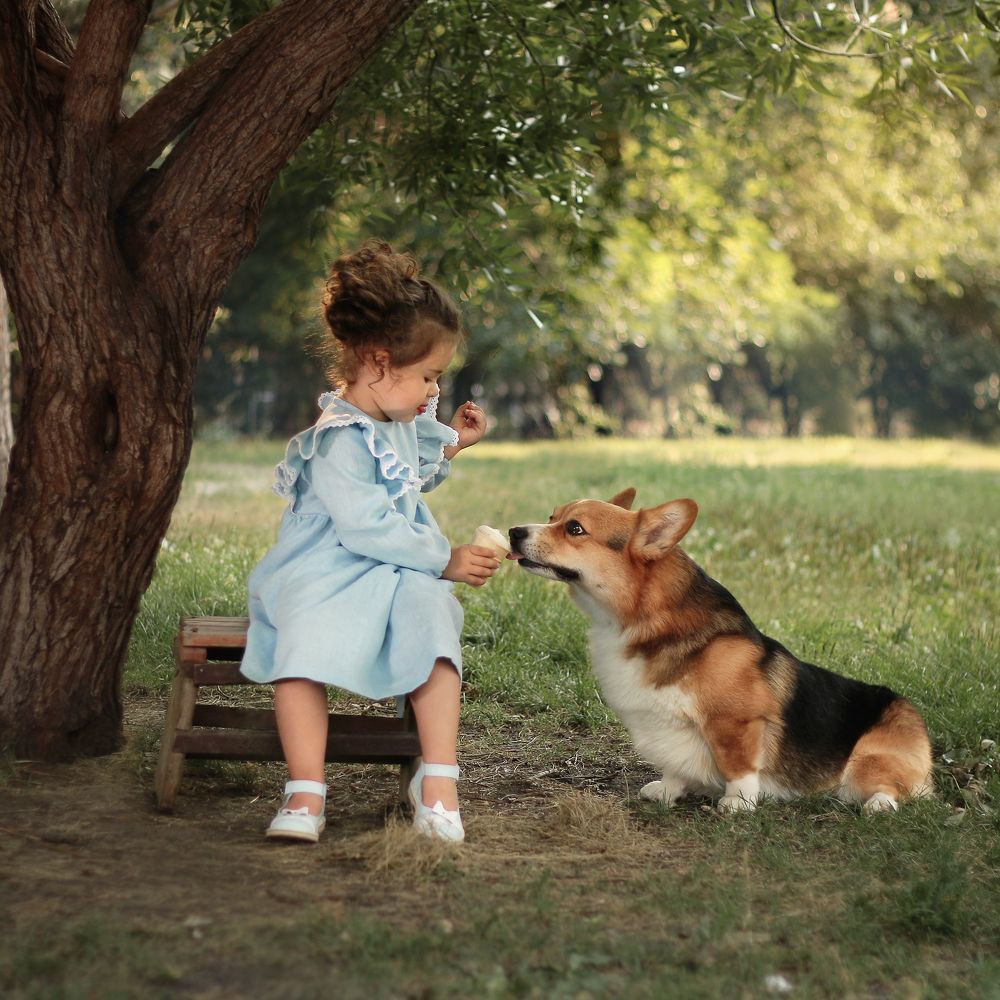 Photograph by Анастасия Триббиани