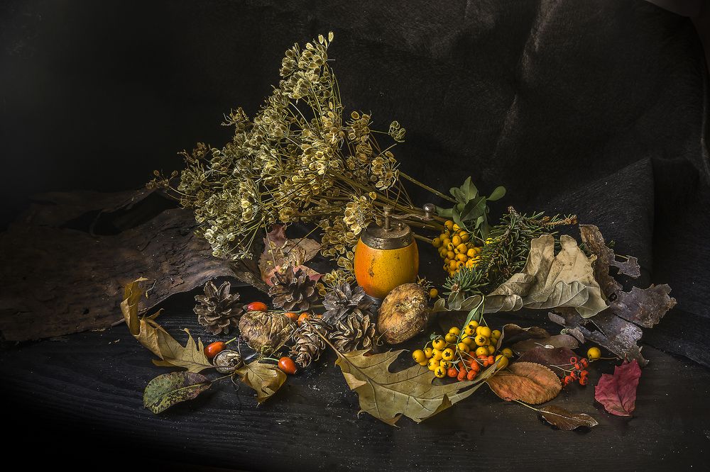 Фотография автора Milena Ivanova