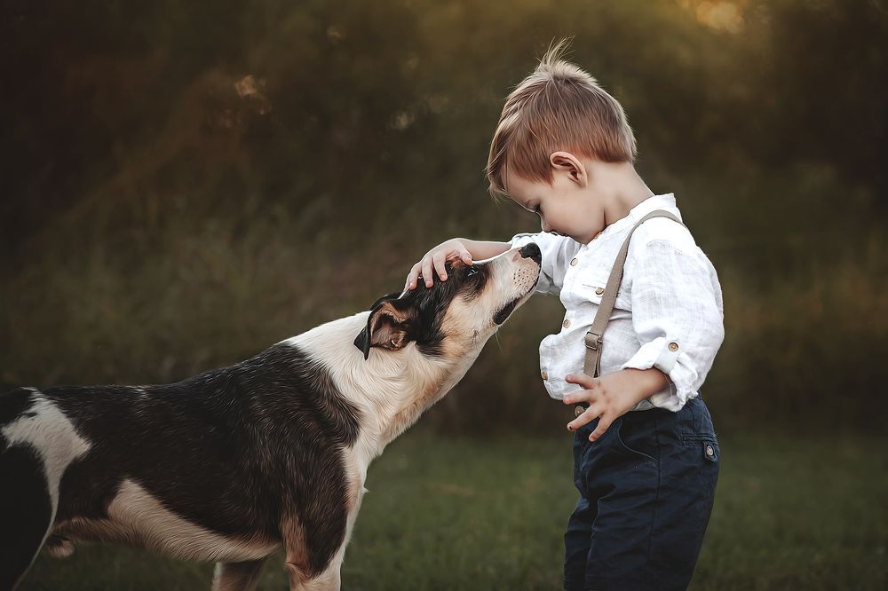 Photograph by Meri Andrade