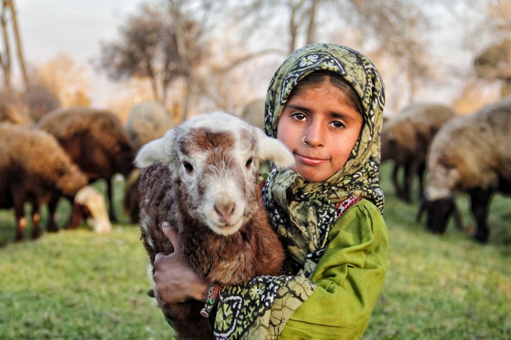 Photograph by Maryam Hasani