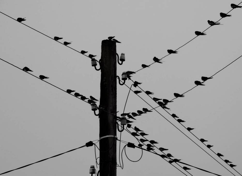 Photograph by Павел Васильев