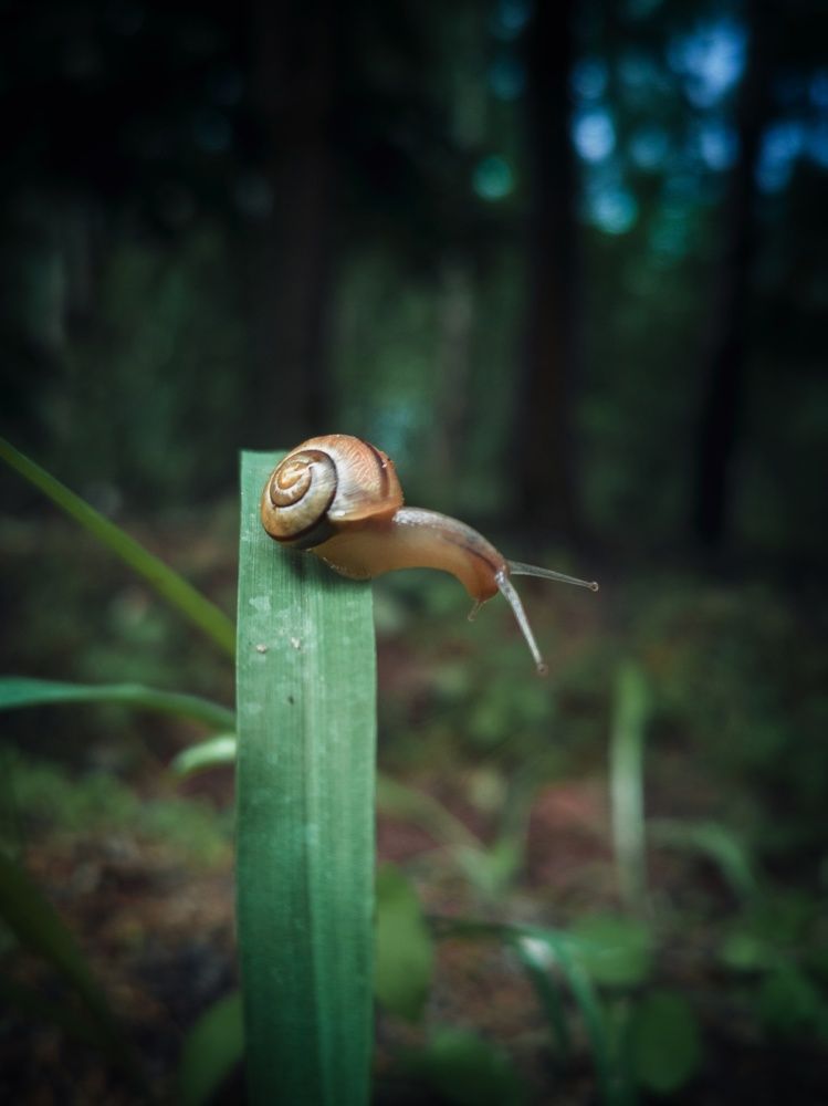 Фотография автора Геннадий Ломеко