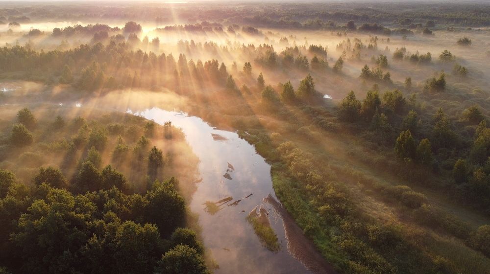 Photograph by Сергей Шляга