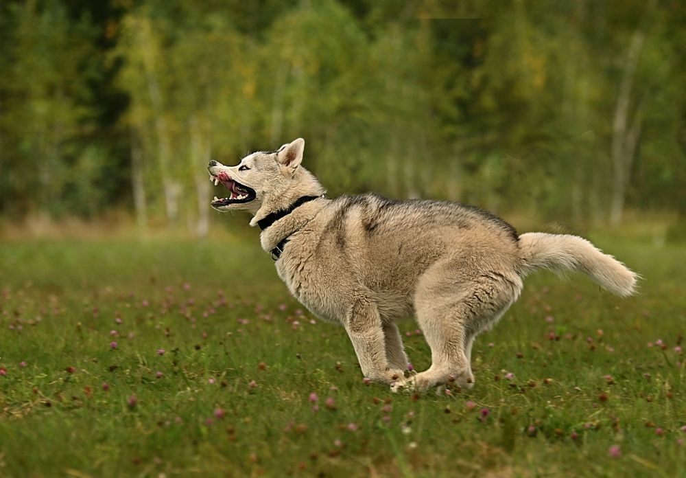 Photograph by Милана Бабченко