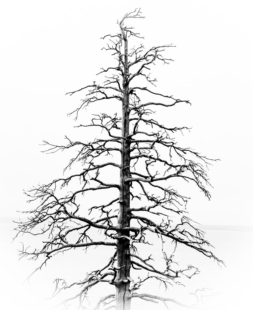 Photograph by Денис Калашников