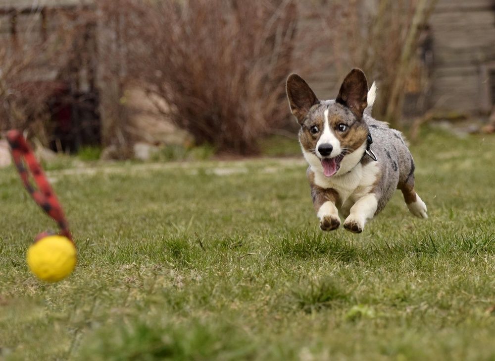 Photograph by Милана Бабченко