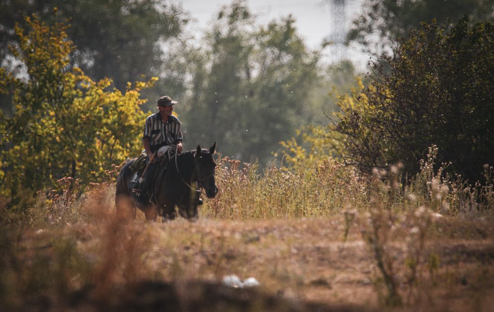 Photograph by Денис Калашников
