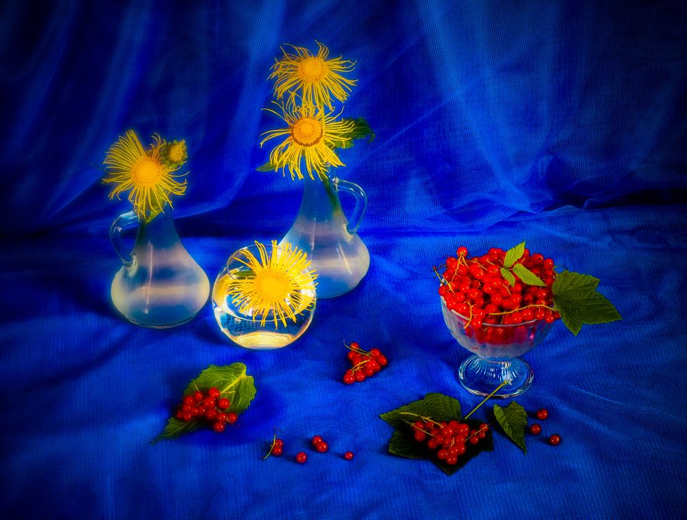 Фотография автора Olena Vorotyntseva