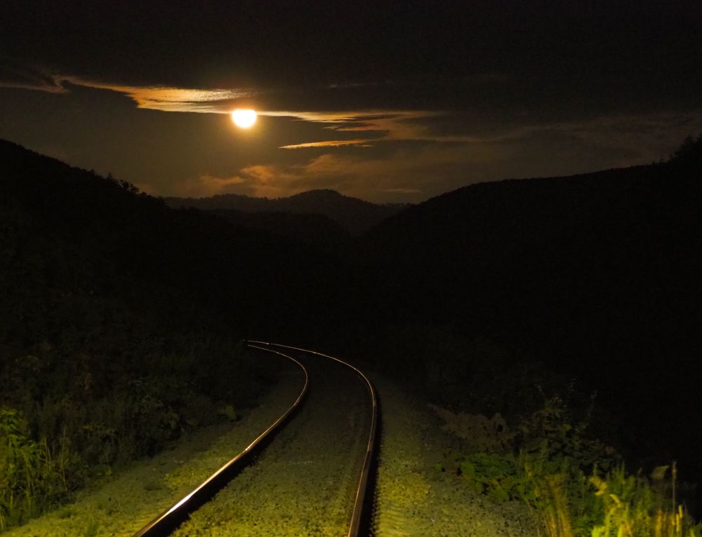 Фотография автора Olena Vorotyntseva