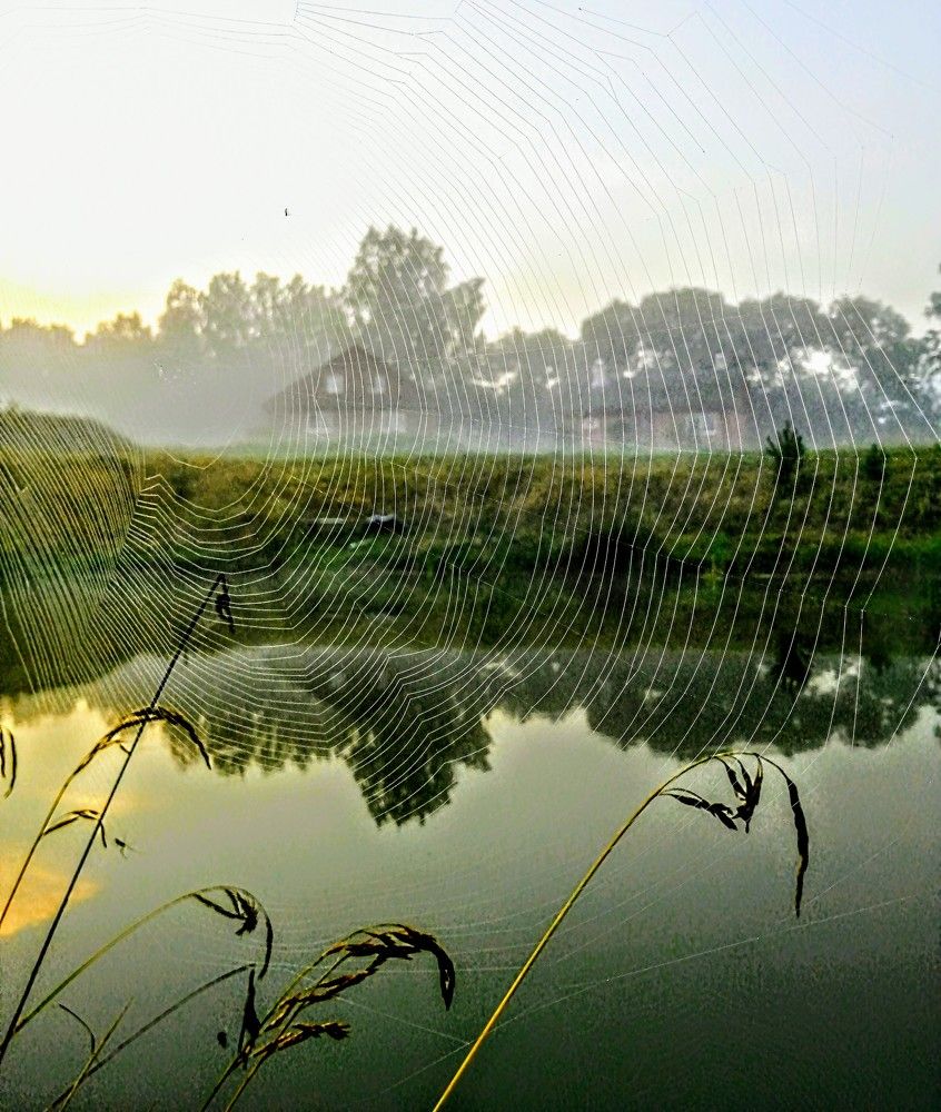 Photograph by Виктор Шубин