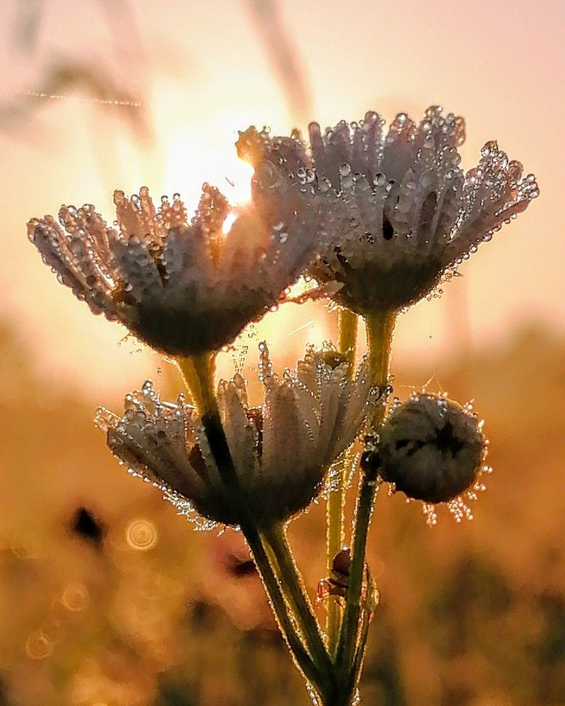 Photograph by Виктор Шубин