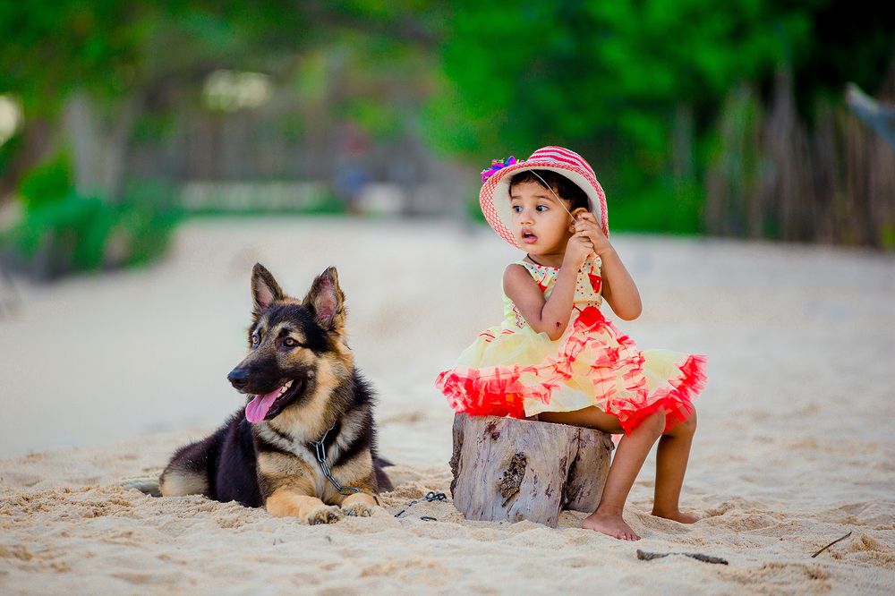 Фотография автора Ravindu Heshan Weerasinghe Pathirana