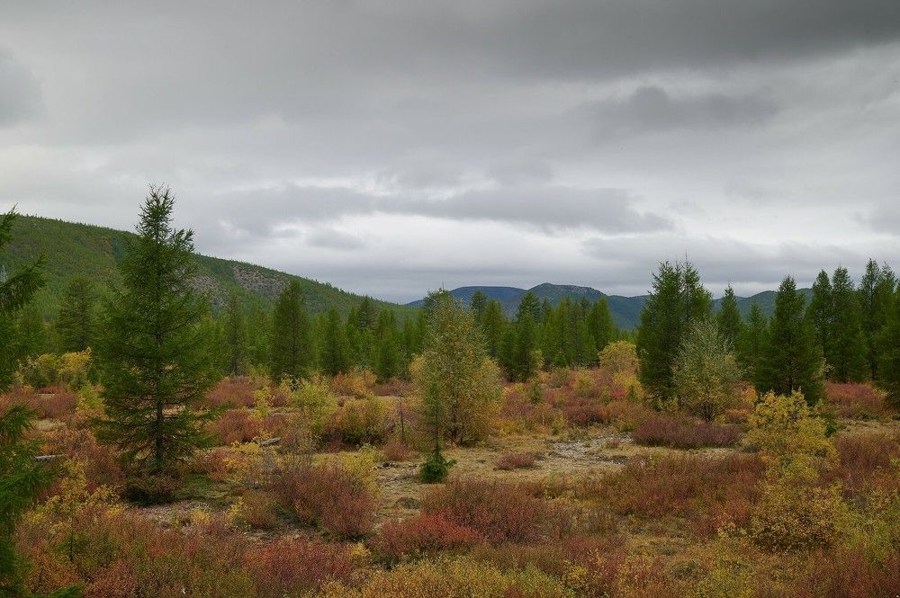 Вот и осень настаёт.