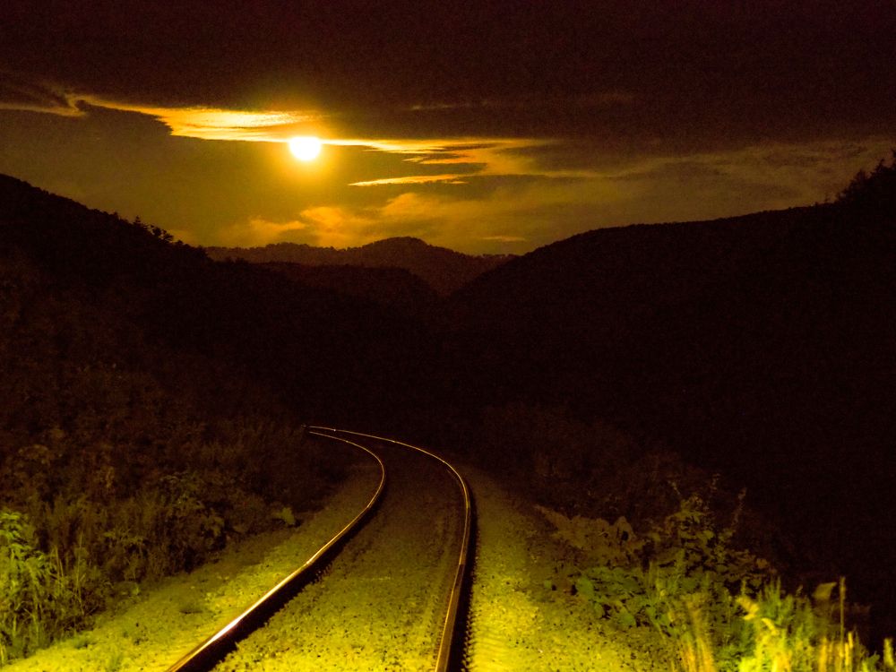 Фотография автора Olena Vorotyntseva