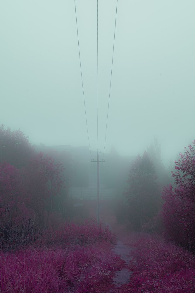 Photograph by Мирослав Макрушин