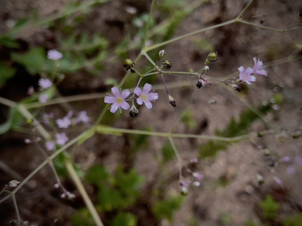 Photograph by Полина Жуланова