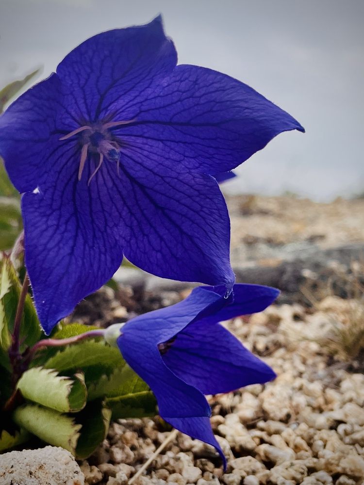 Photograph by Полина Жуланова