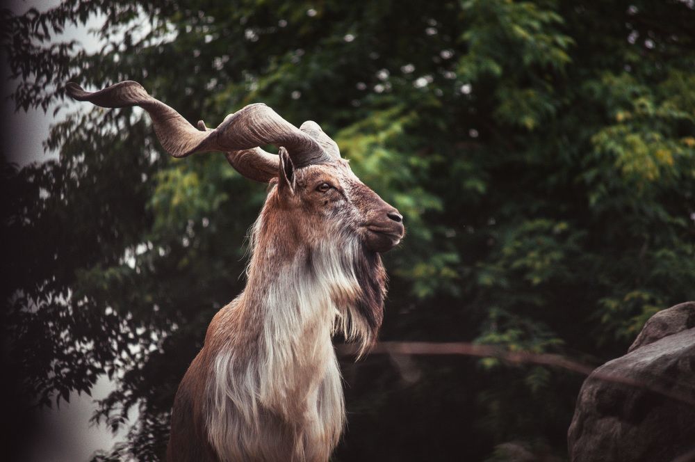 Photograph by Александр Раков