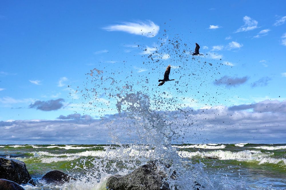 Photograph by Andrei Nikitin