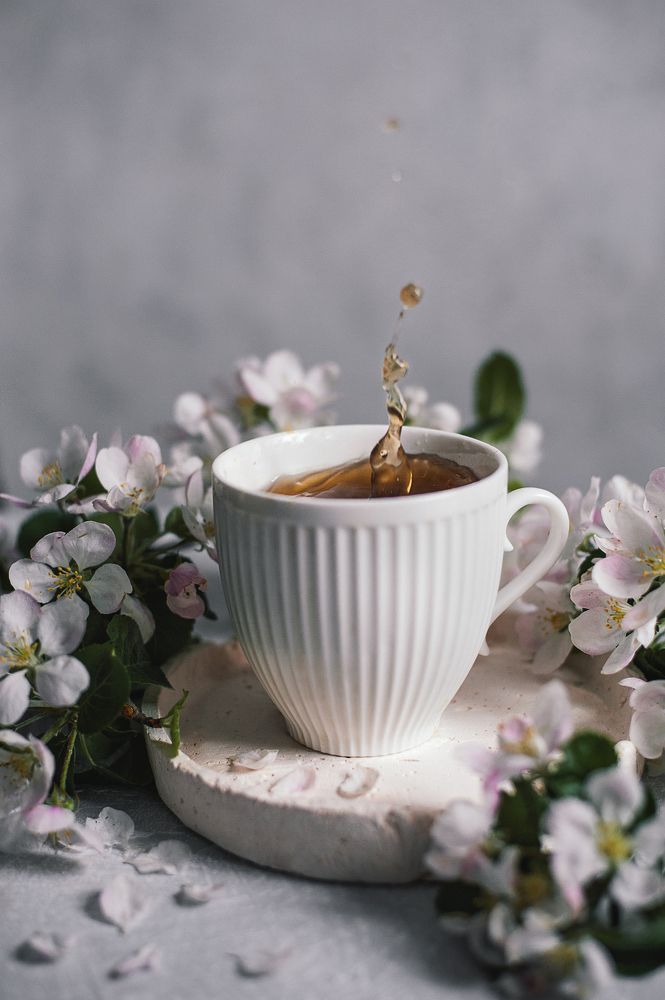 Photograph by Татьяна Николаева