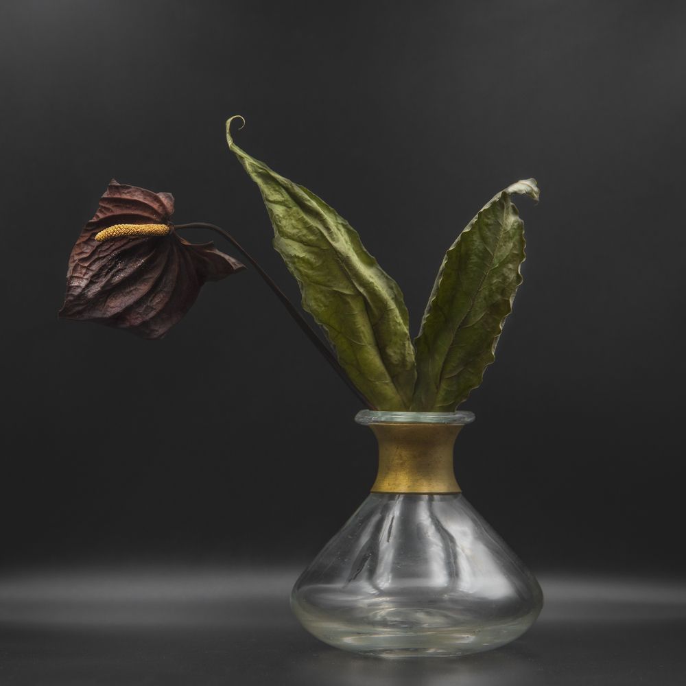 Photograph by Nikolina Georgieva