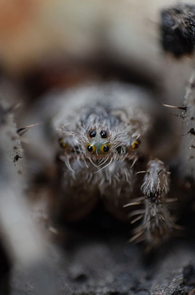 Photograph by Максим Колосов