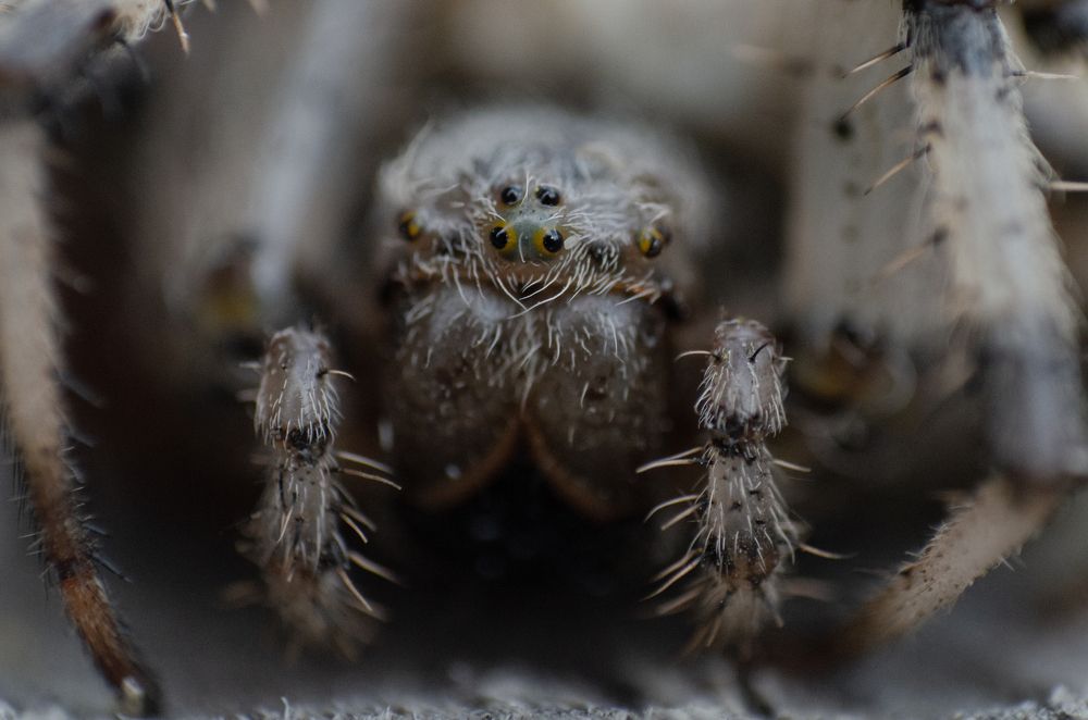 Photograph by Максим Колосов