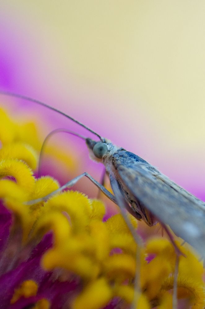 Photograph by Максим Колосов