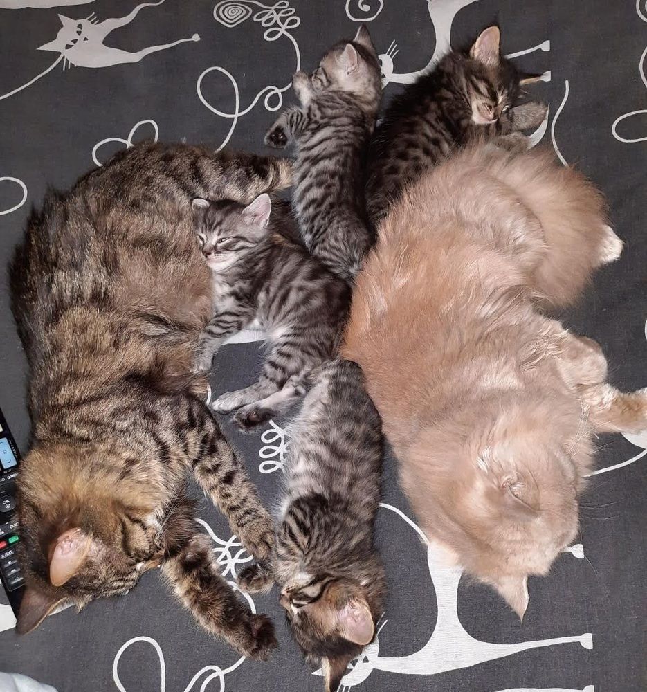 Photograph by Рустем Ганиев