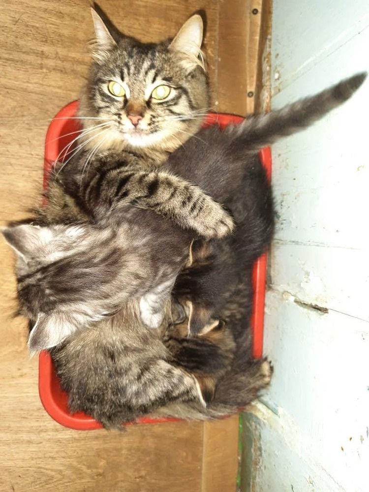 Photograph by Рустем Ганиев