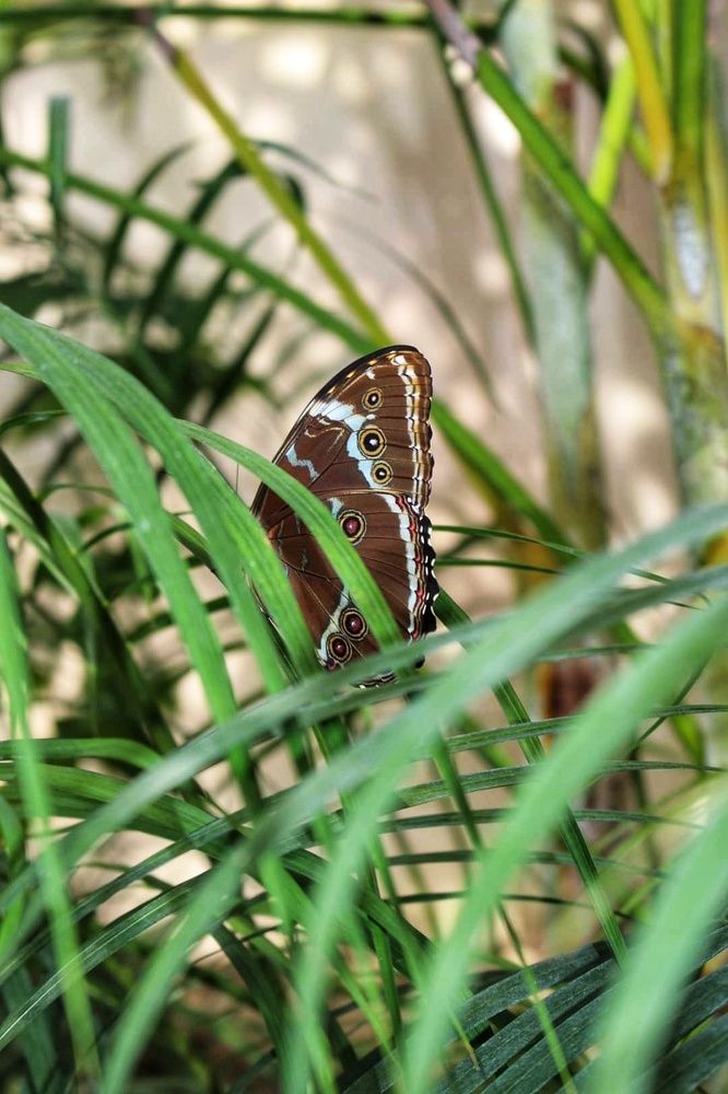 Photograph by Maja Kacprzyk