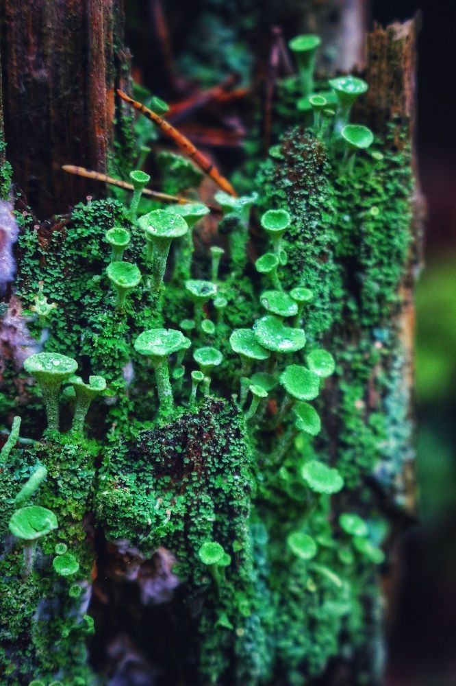 Photograph by Maja Kacprzyk