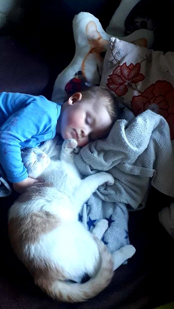 Photograph by Kristiina Soots