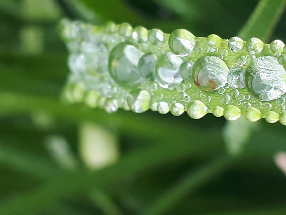 Photograph by Kristiina Soots