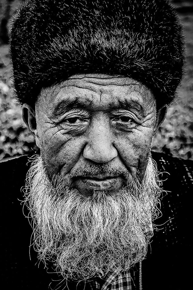 Photograph by tamaddon homayoun